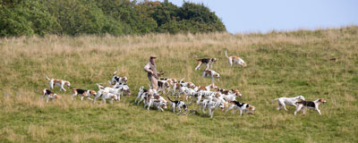 Hunting Photography by Neil Salisbury Betty Fold Gallery